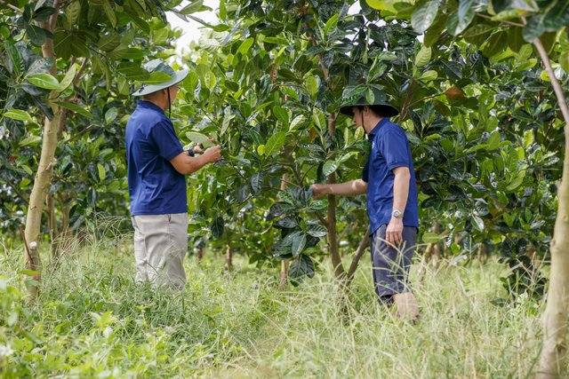 GREENFEED TỪ TRANG TRẠI ĐẾN BÀN ĂN VỚI BIG DATA TRÊN AWS